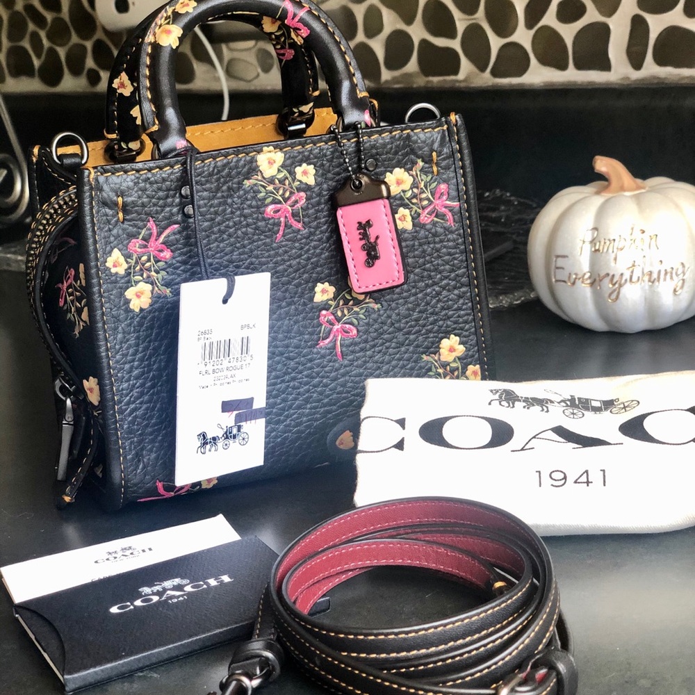 Coach Rogue 17